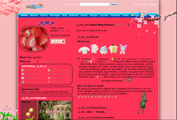 SpaceHey profile of user _n_0r_a, with loud red colors and multitude of animated GIFs.